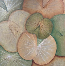 Lade das Bild in den Galerie-Viewer, Himapan Canvas - 48 x 48cm - &quot;Die natürliche Schönheit der Lotusplanze&quot;
